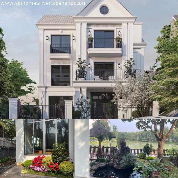 Thị trường cho thuê biệt thự Vinhomes Riverside 2026