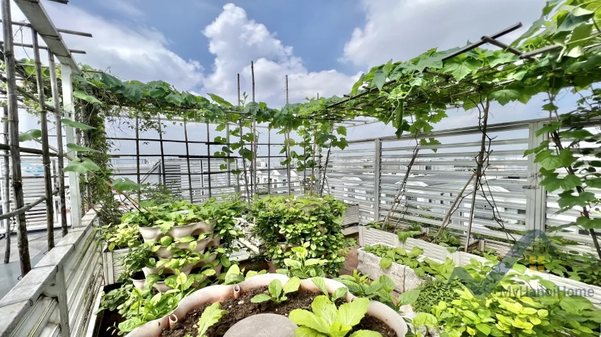 Xem ảnh 11: Ảnh 11: Biệt thự Vinhomes Harmony gần Vinschool cho thuê có thang máy