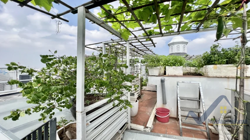 Xem ảnh 12: Ảnh 12: Biệt thự Vinhomes Harmony gần Vinschool cho thuê có thang máy