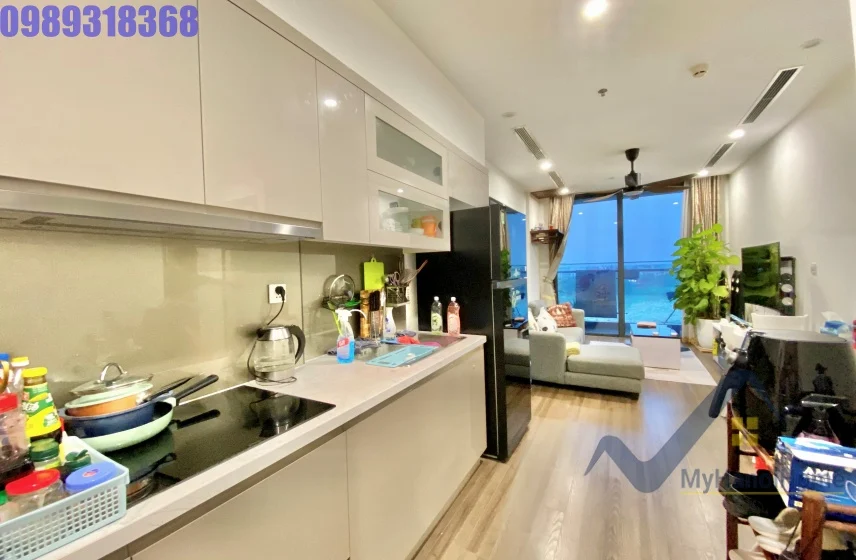 Xem ảnh 5: Ảnh 5: Cho thuê 2PN 2WC Symphony Long Biên nội thất hiện đại