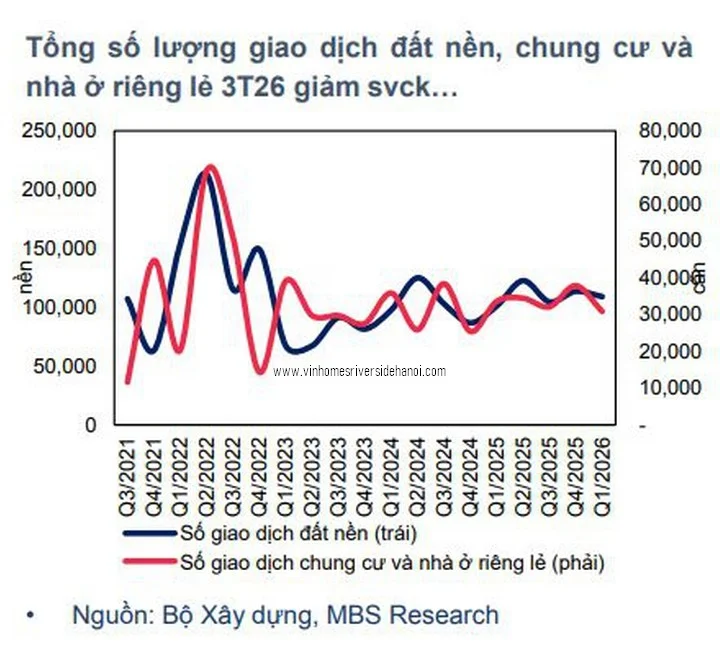 Biểu đồ phân tích tổng số lượng giao dịch bất động sản Việt Nam