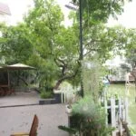Xem ảnh 1: Cần cho thuê biệt thự Vinhome Riverside gần Almaz đủ đồ