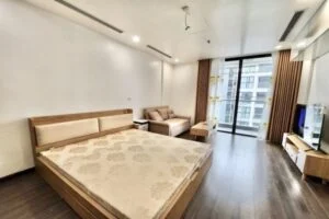 Ảnh VH462: Căn hộ Studio tại CC Vinhomes Symphony cần cho thuê ngay
