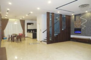 Cho thuê biệt thự Anh Đào Vinhomes Riverside đã hoàn thiện