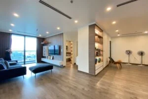 Ảnh VH437: Cho thuê căn hộ 2PN 2WC tại Symphony căn hộ đập thông