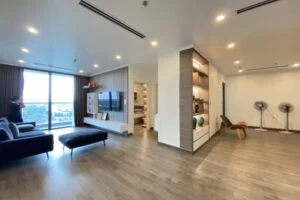 Ảnh VH508: Cho thuê căn hộ 2PN đập thông Symphony diện tích 140m2