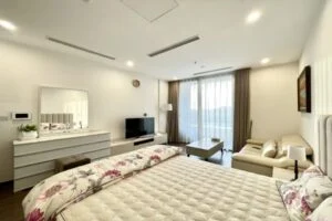 Ảnh VH423: Cho thuê căn hộ Studio Vinhomes Symphony nội thất hiện đại
